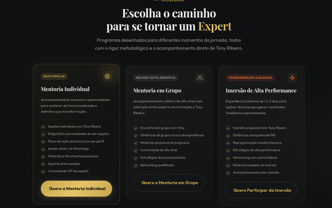 Tony Ribeiro — detalhe 2 do projeto desenvolvido pela ZyoryAI